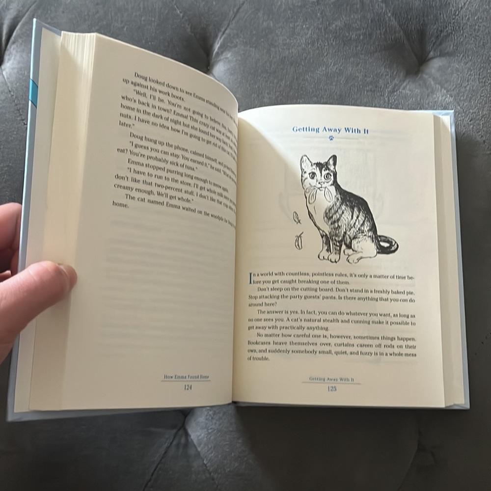 💙NEW 2008 Devious Book for Cats Drawings Illustrations by Emily Flake- Funny!💙 - Picture 4 of 9